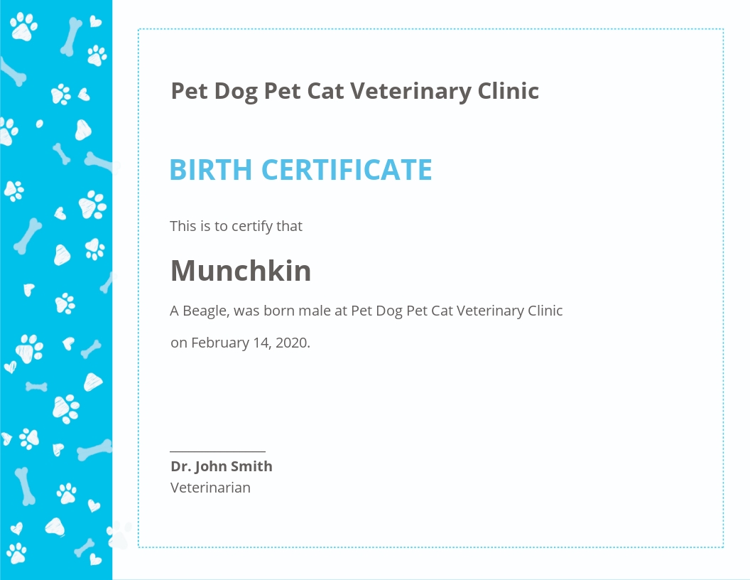 Sample Pet Birth Certificate Template - Google Docs, Illustrator, InDesign, Word, Apple Pages, PSD, Publisher
