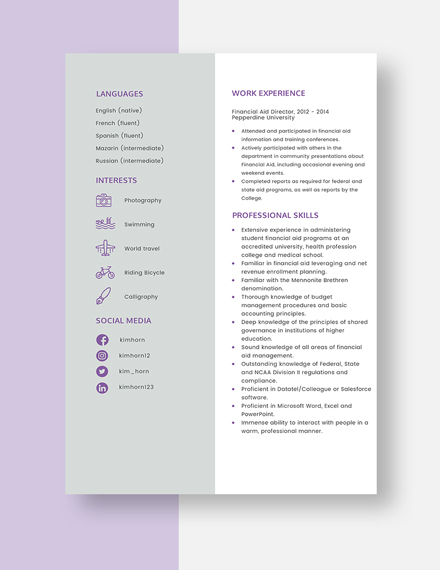 Financial Aid Director Resume Template