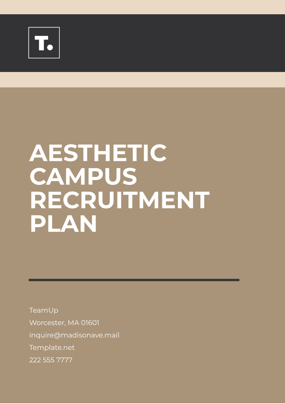 Aesthetic Campus Recruitment Plan Template - Edit Online & Download