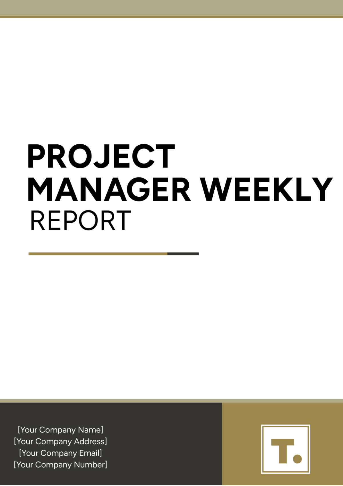 Project Manager Weekly Report Template - Edit Online & Download