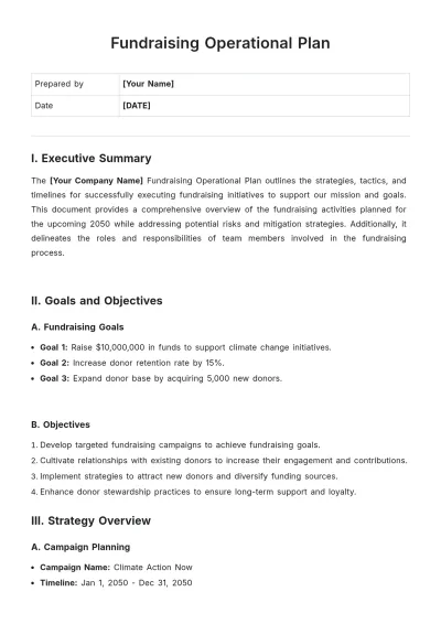 Free Fundraising Operational Plan Template to Edit Online