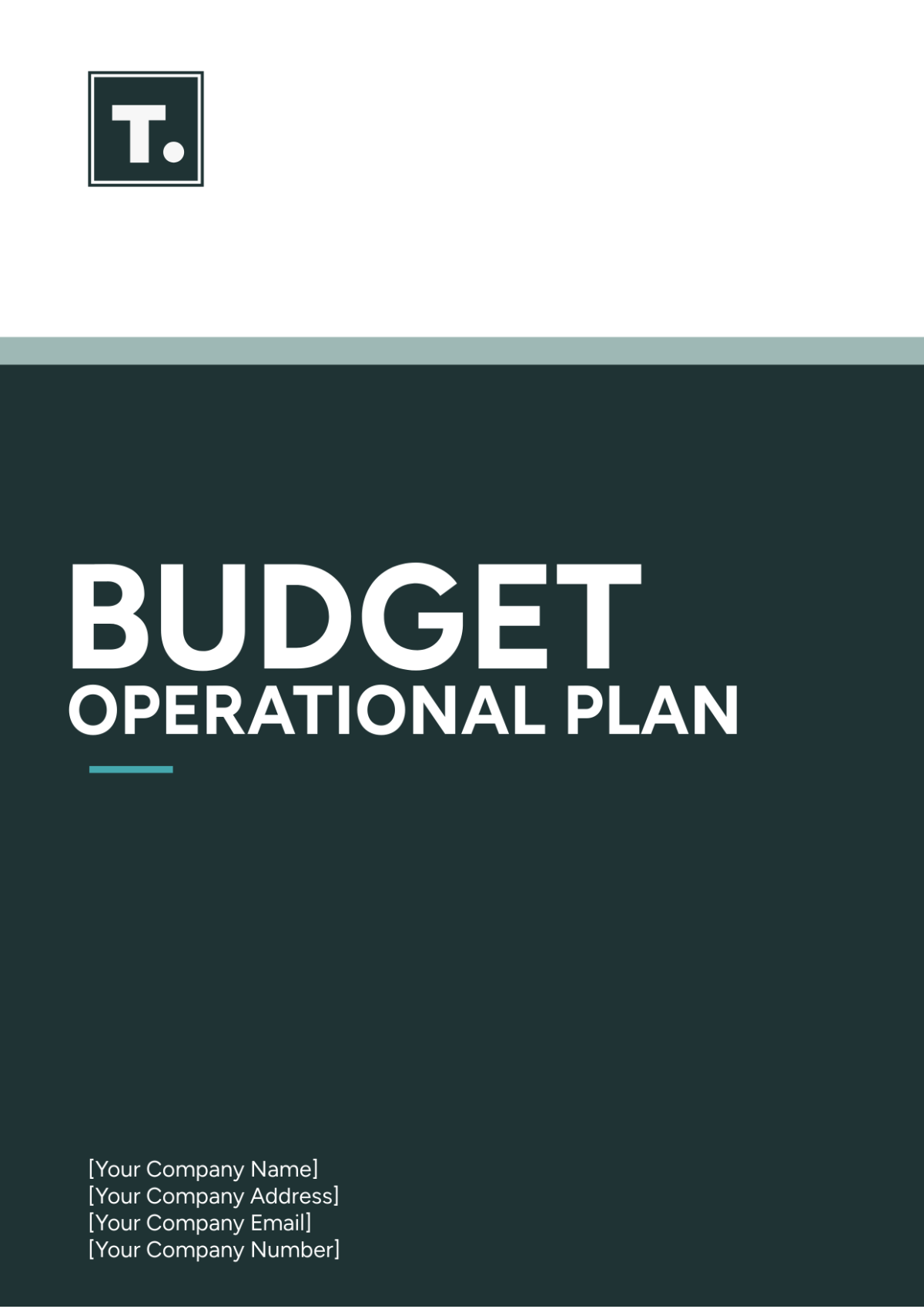 Budget Operational Plan Template - Edit Online & Download