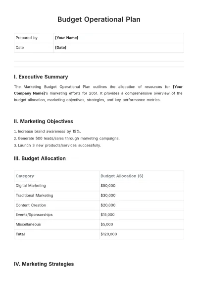 Free Budget Operational Plan Template to Edit Online