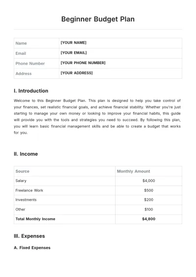 Free Beginner Budget Plan Template to Edit Online