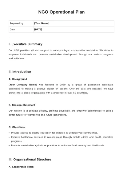 Free NGO Operational Plan Template to Edit Online
