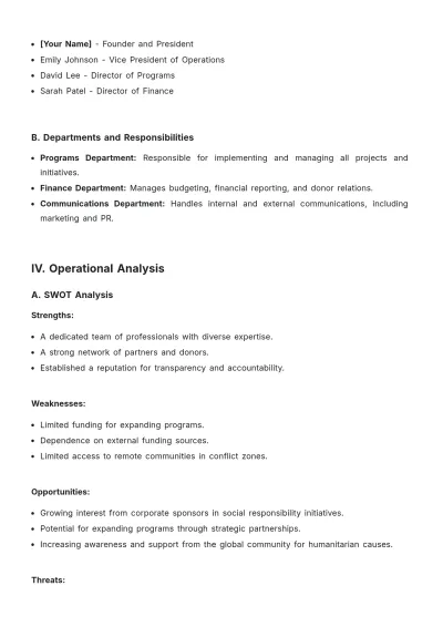 Free NGO Operational Plan Template to Edit Online