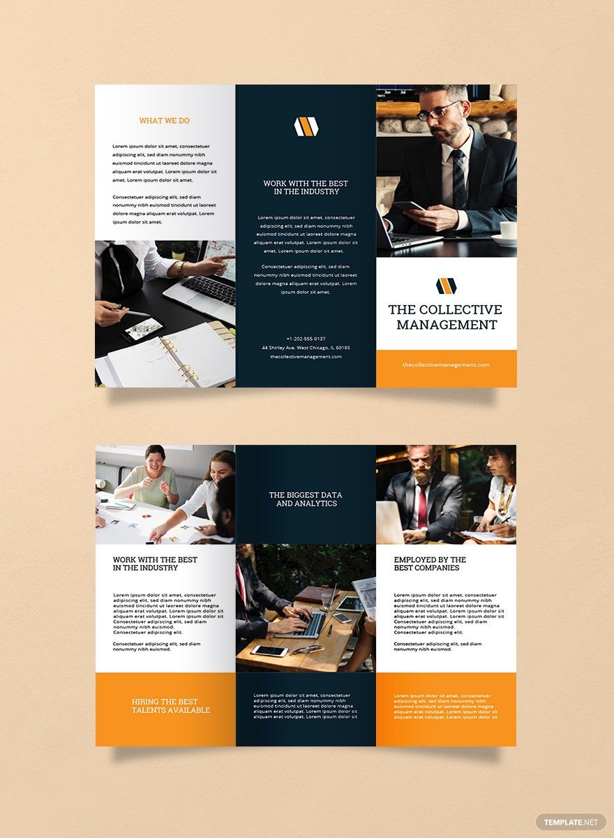 Blank Trifold Brochure Template