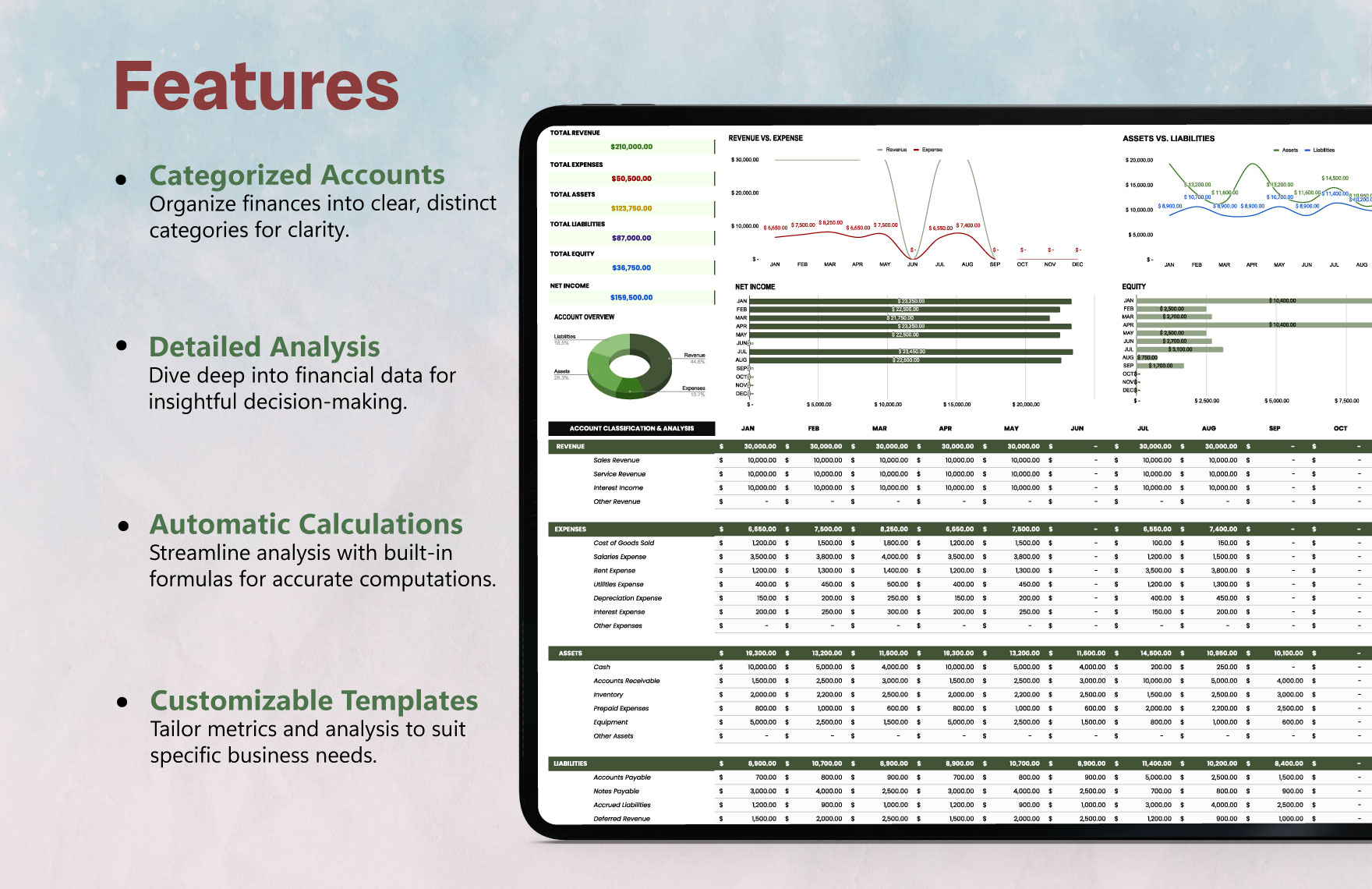 Account Classification and Analysis Template