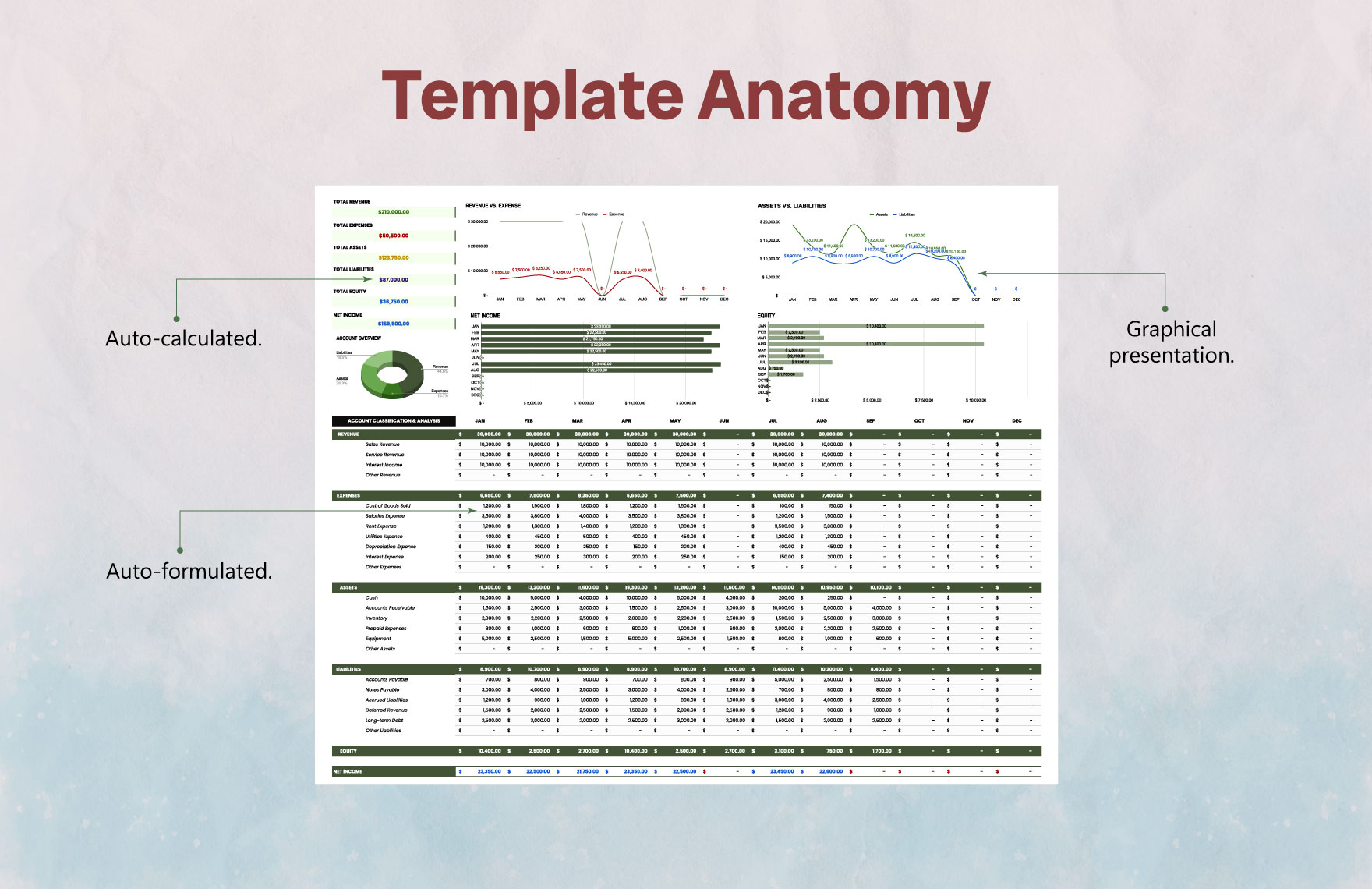 Account Classification and Analysis Template