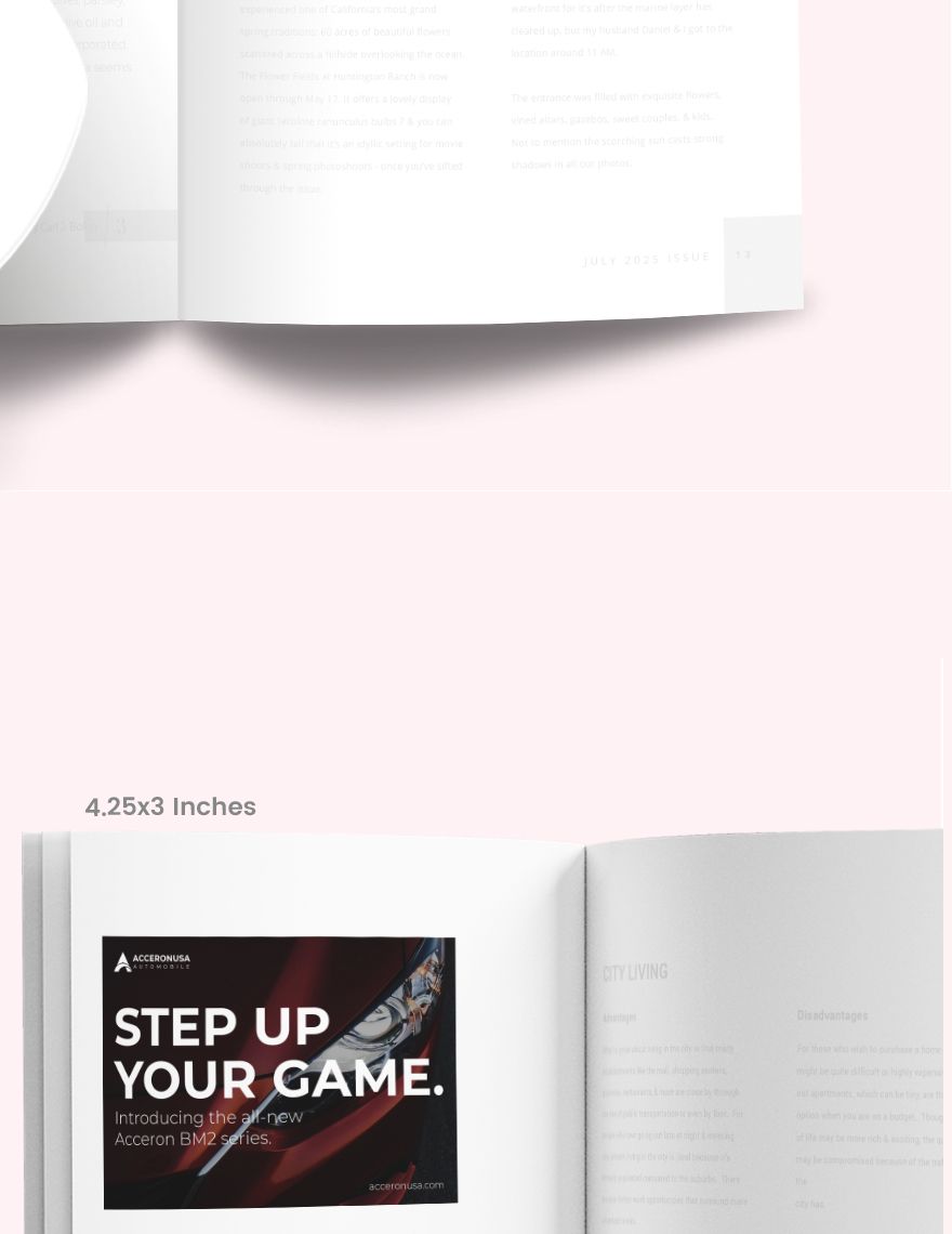 Simple Product Magazine Ads Template