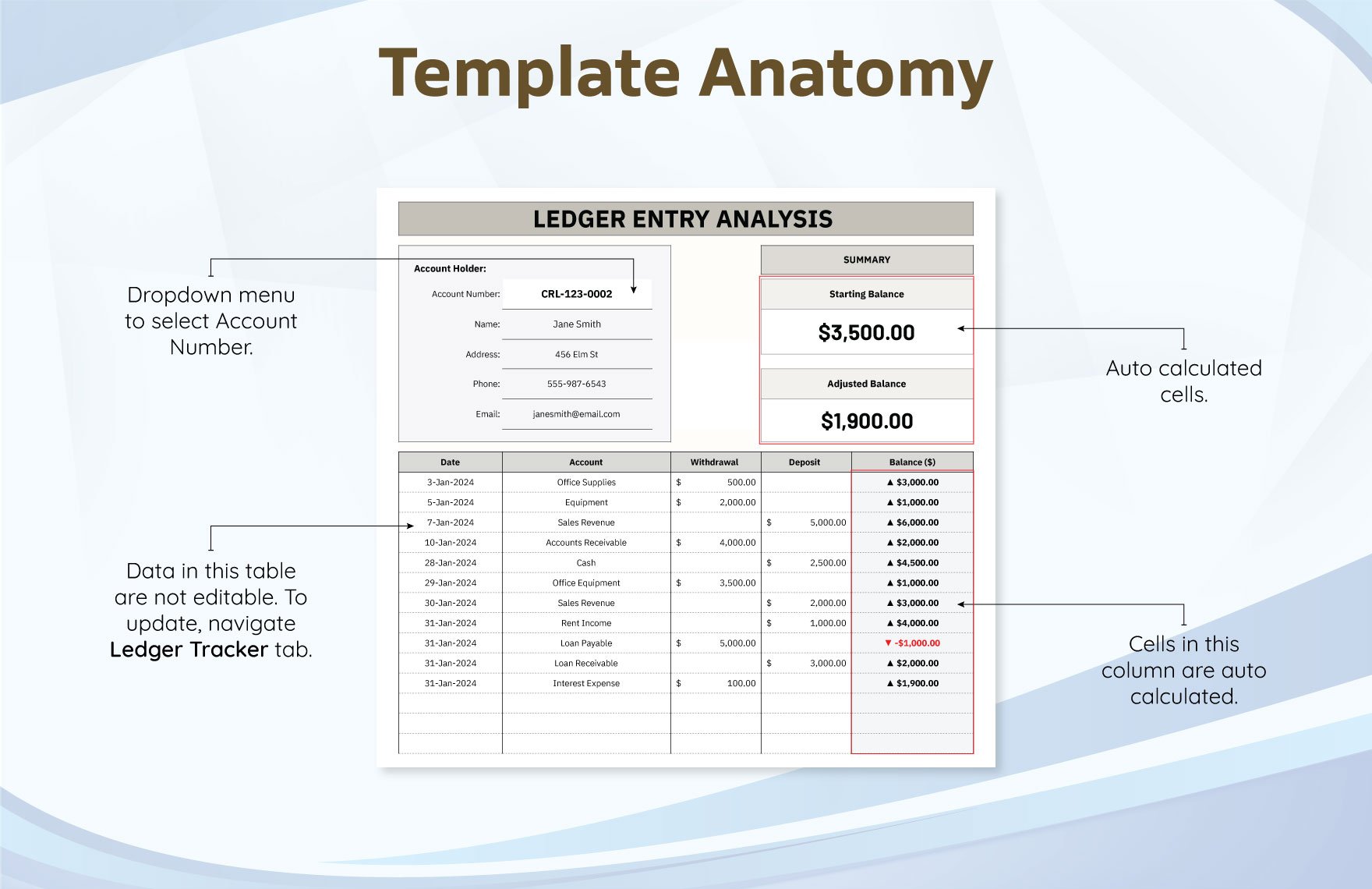 Ledger Entry Analysis Template