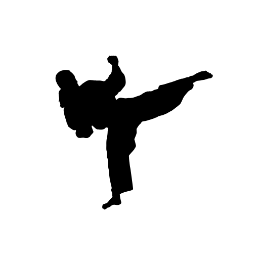 Karate Silhouette Element