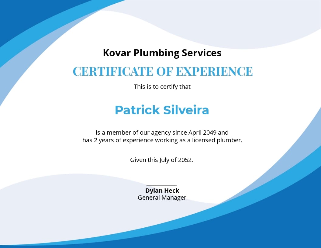 Plumbing Experience Certificate Template - Google Docs, Illustrator, InDesign, Word, Outlook, Apple Pages, PSD, Publisher