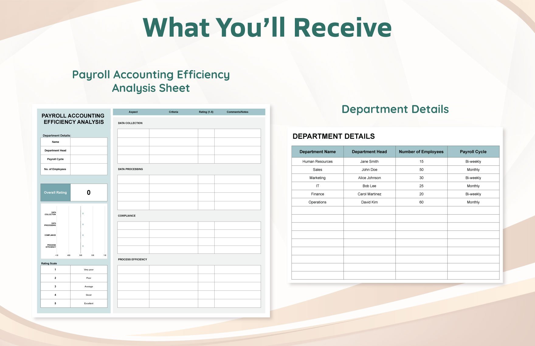 Payroll Accounting Efficiency Analysis Template