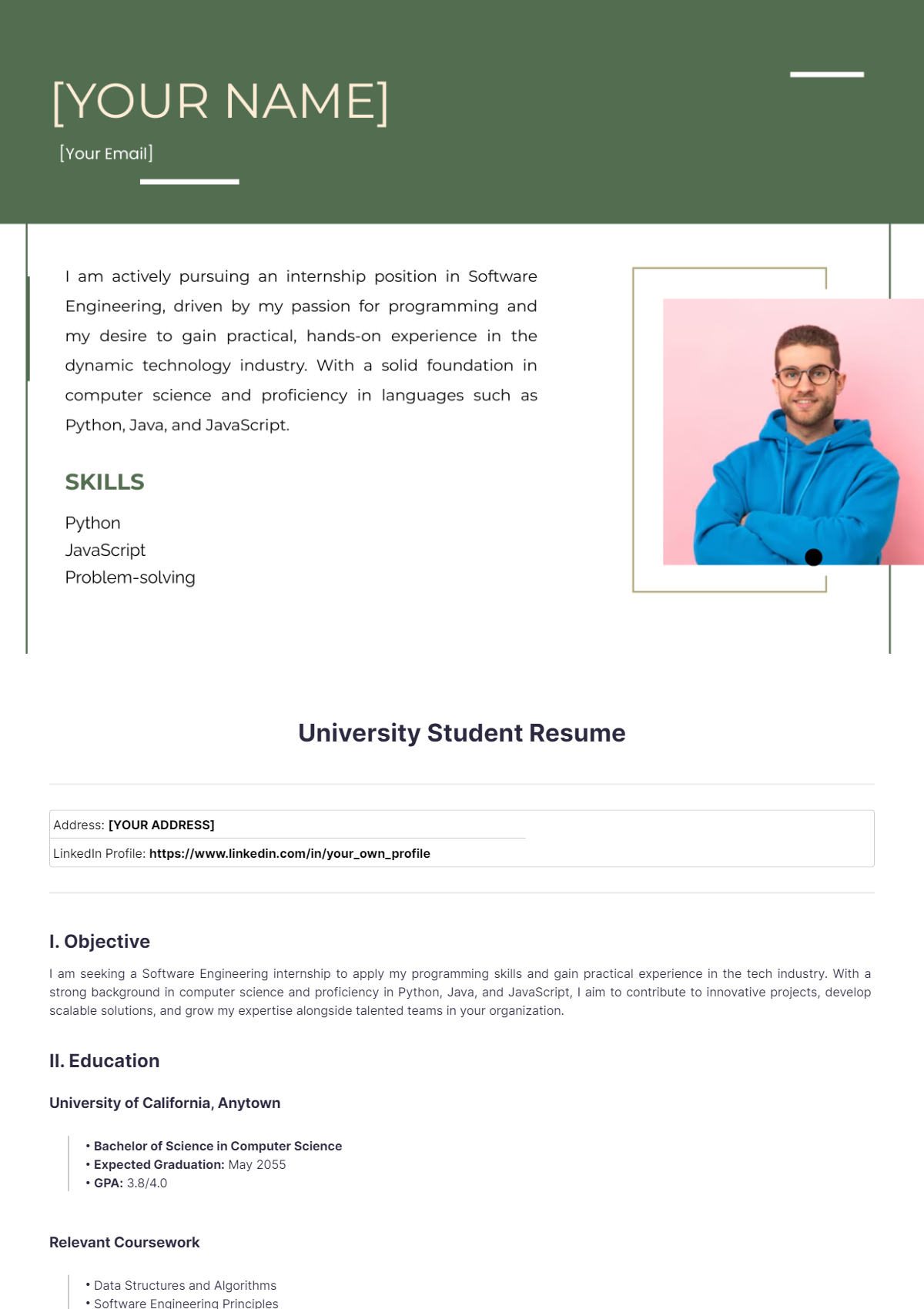 University Student Resume