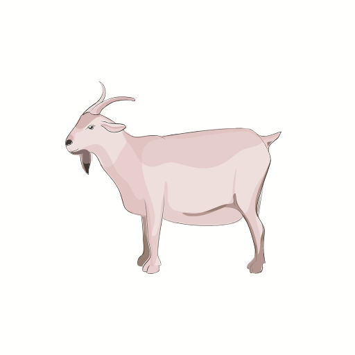 Farm Goat Animal