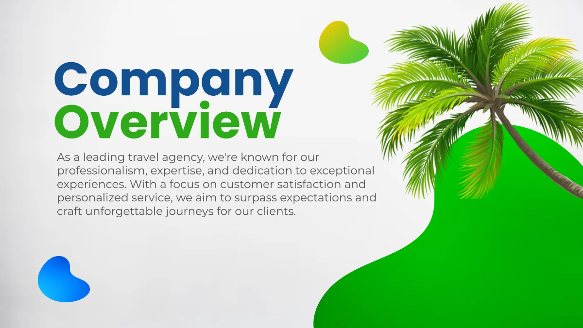 Free Travel Agency Professional Presentation Template to Edit Online