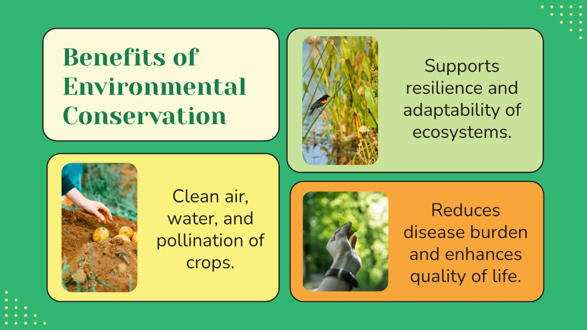 Free World Environment Day Presentation for Students Template to Edit Online