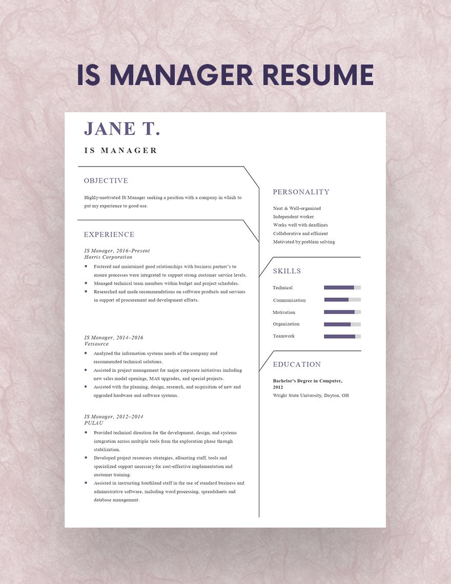 IS Manager Resume