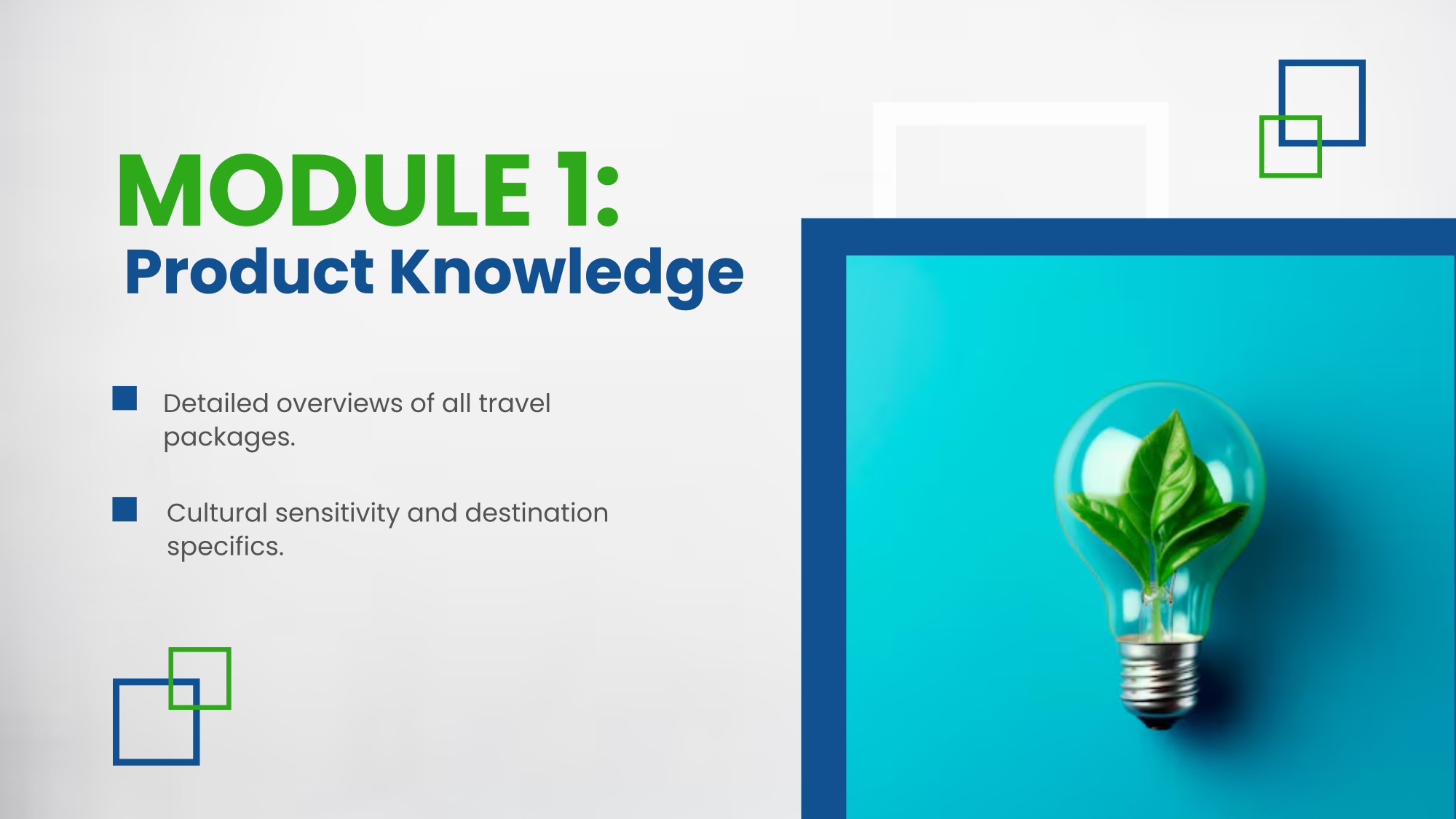 Free Travel Agency Training Presentation Template to Edit Online