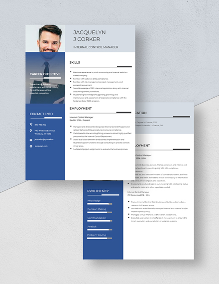 Internal Control Manager Resume Download