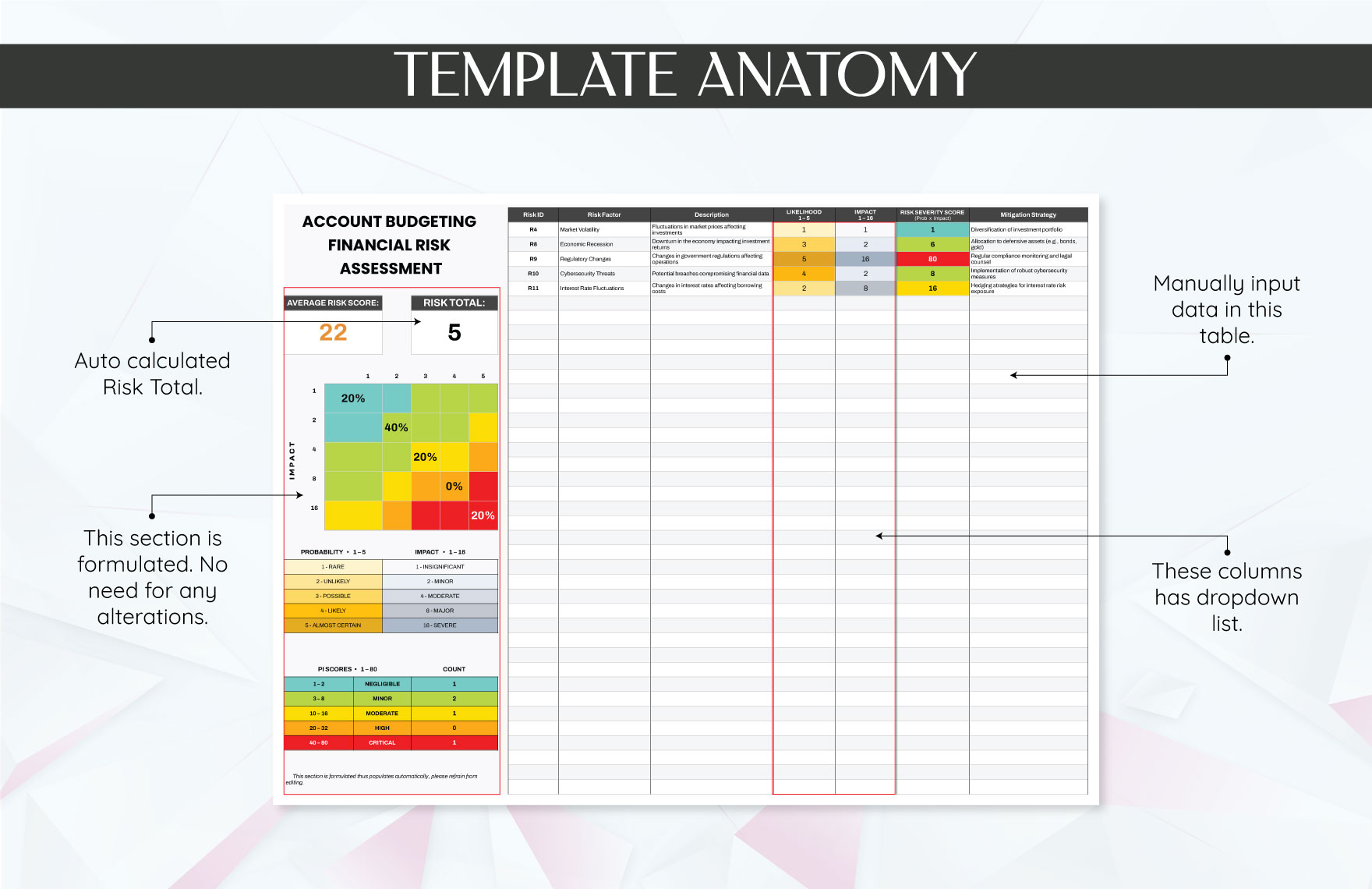 Account Budgeting Financial Risk Assessment Template
