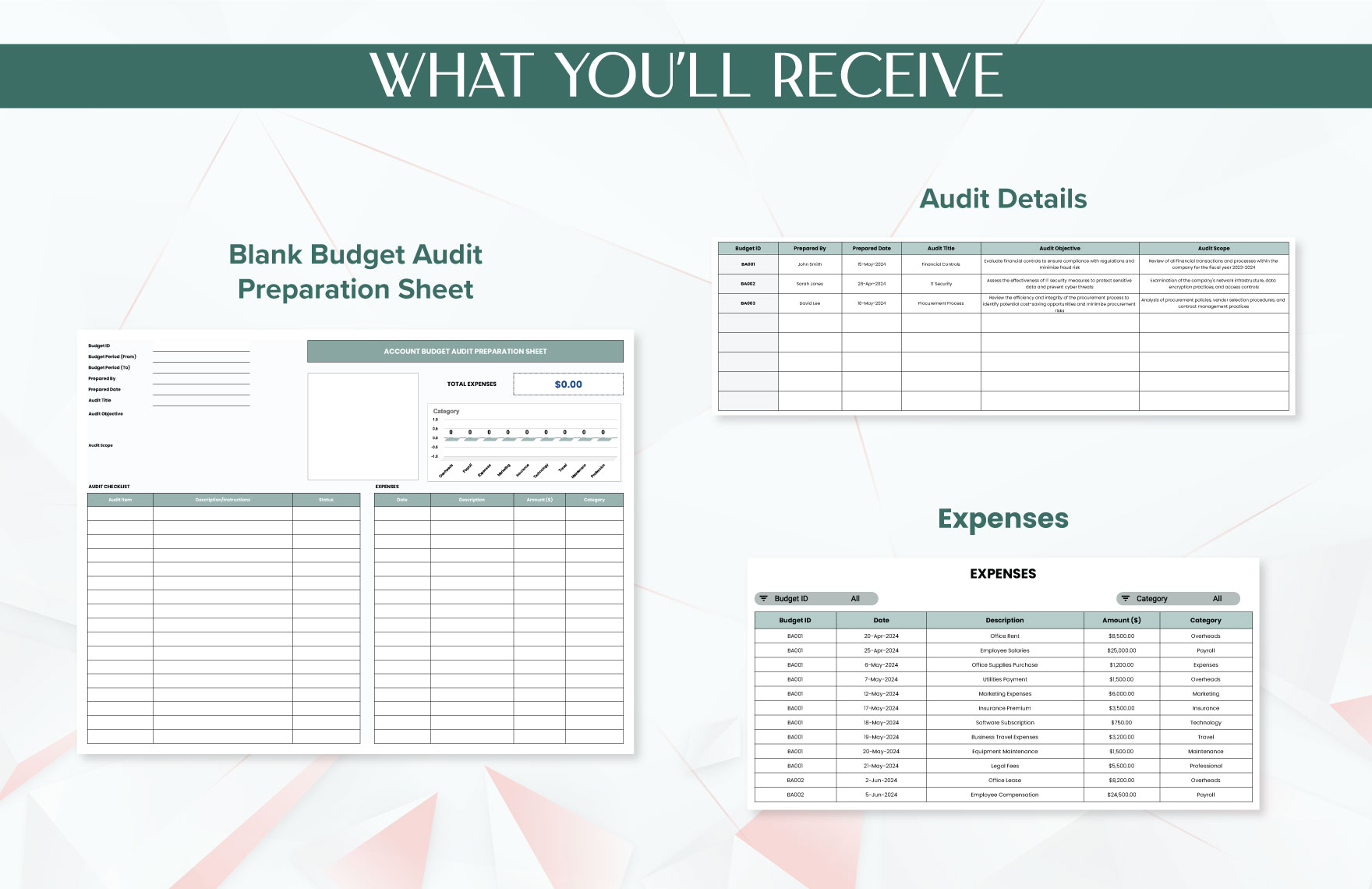 Account Budget Audit Preparation Sheet Template