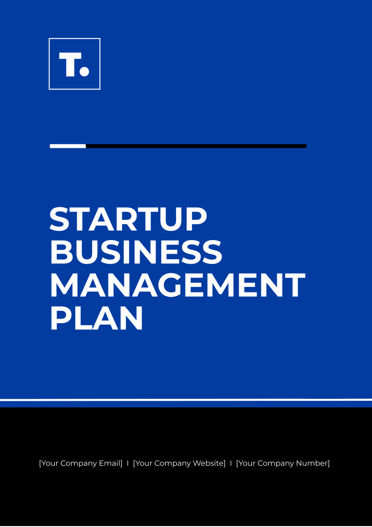 Free Startup Business Management Plan Template