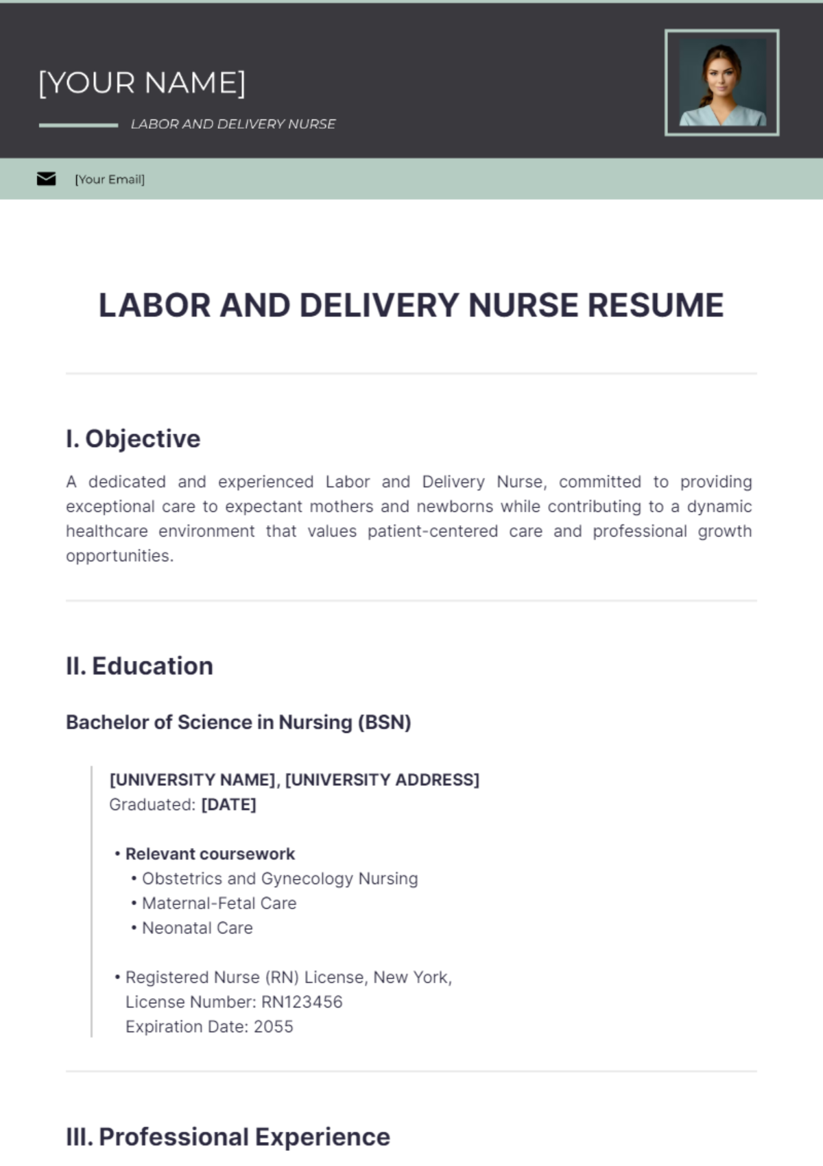 Free Labor And Delivery Nurse Resume Template - Edit Online & Download ...