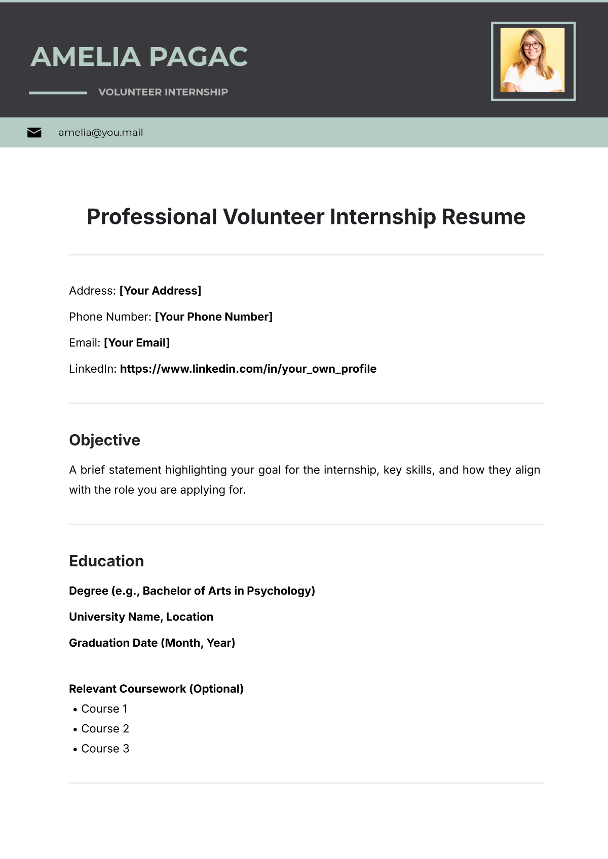 Professional Volunteer Internship Resume Template - Edit Online & Download