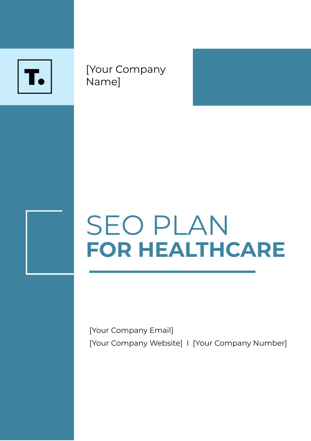 SEO Plan For Healthcare Template - Edit Online & Download