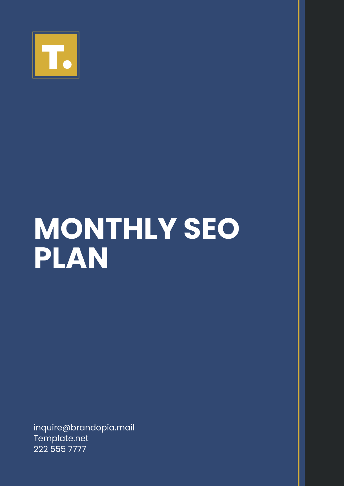 Monthly SEO Plan Template - Edit Online & Download