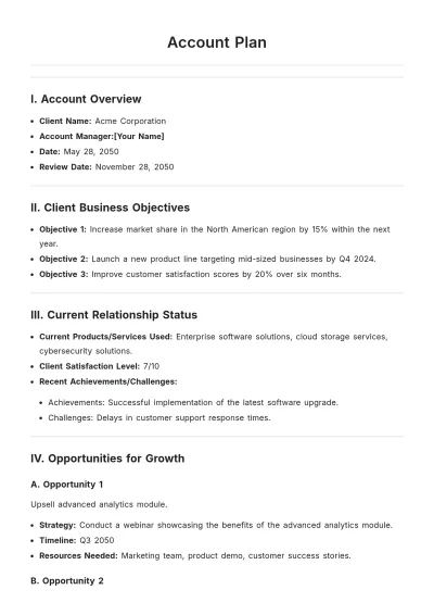 Free Account Plan Template to Edit Online