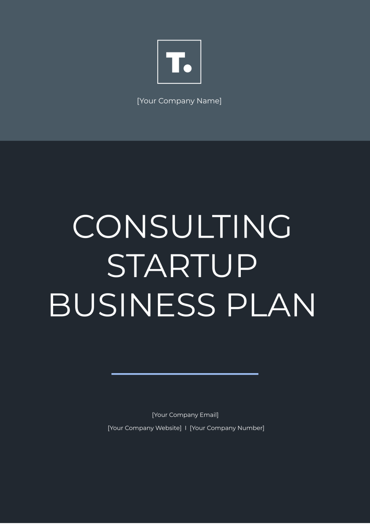 Consulting Startup Business Plan Template - Edit Online & Download