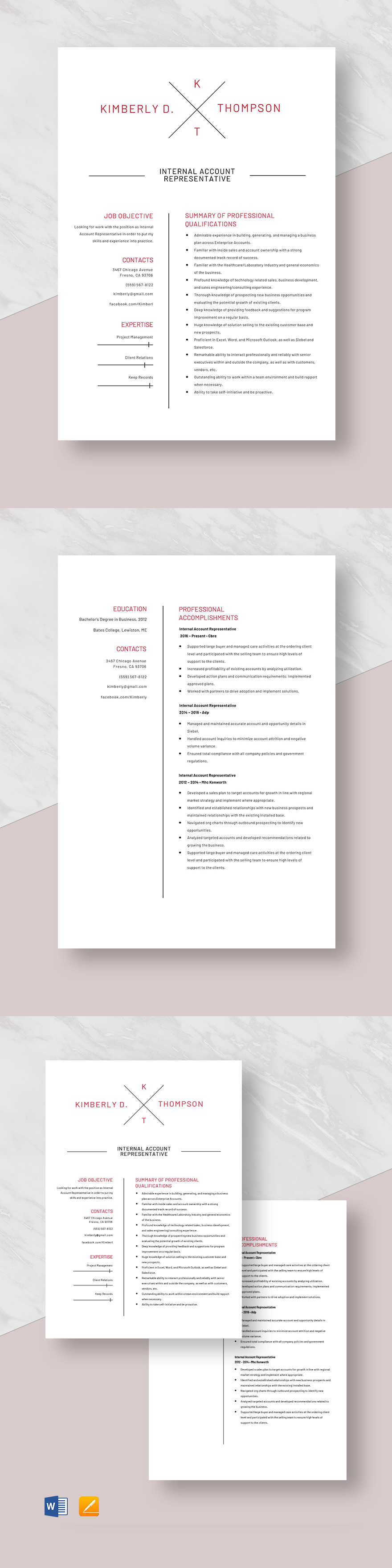 Free Internal Audit Resume Template Word Apple Pages Template free-internal-audit-resume-template-word-apple-pages-template