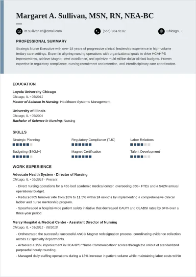 Free Director Of Nurse ATS Resume Template, AI Resume Builder