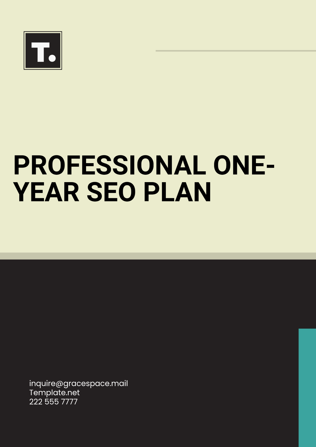 Professional One Year SEO Plan Template - Edit Online & Download