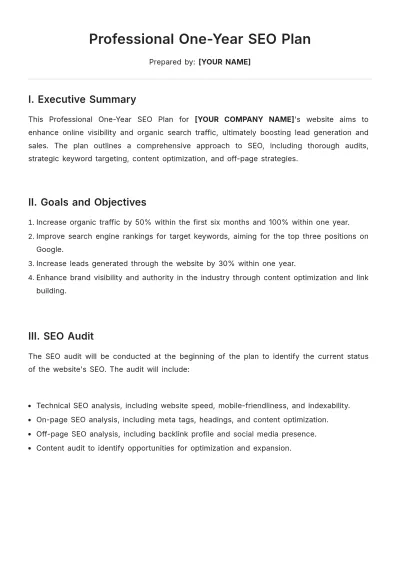 Free Professional One Year SEO Plan Template to Edit Online