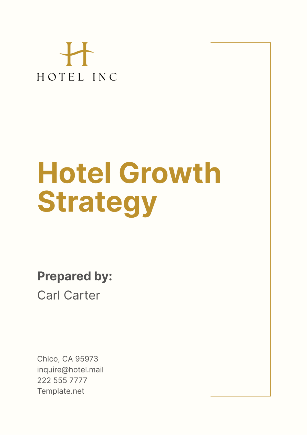 Hotel Growth Strategy Template - Edit Online & Download