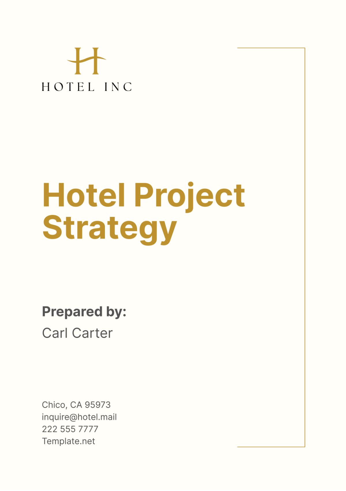 Hotel Project Strategy Template - Edit Online & Download