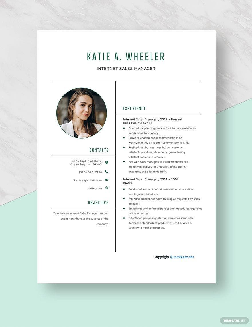 Internet Sales Manager Resume Template