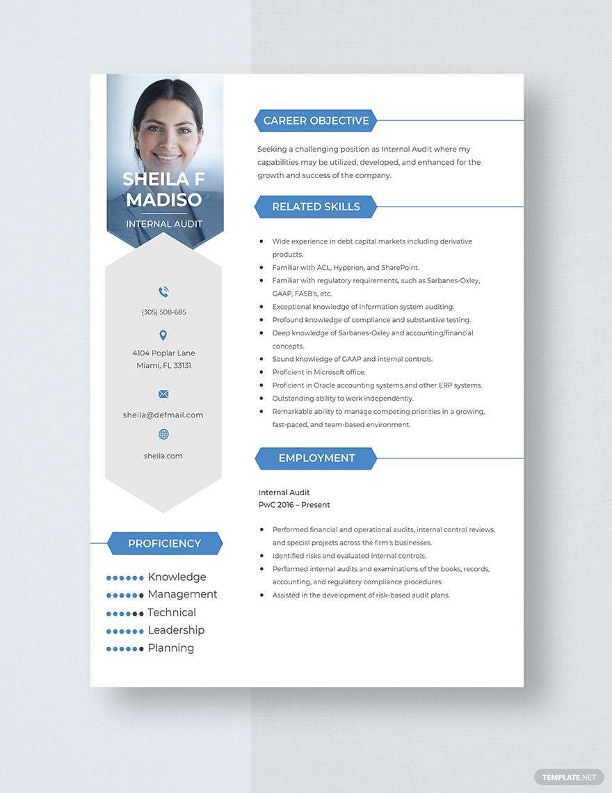 Internal Audit Resume Template