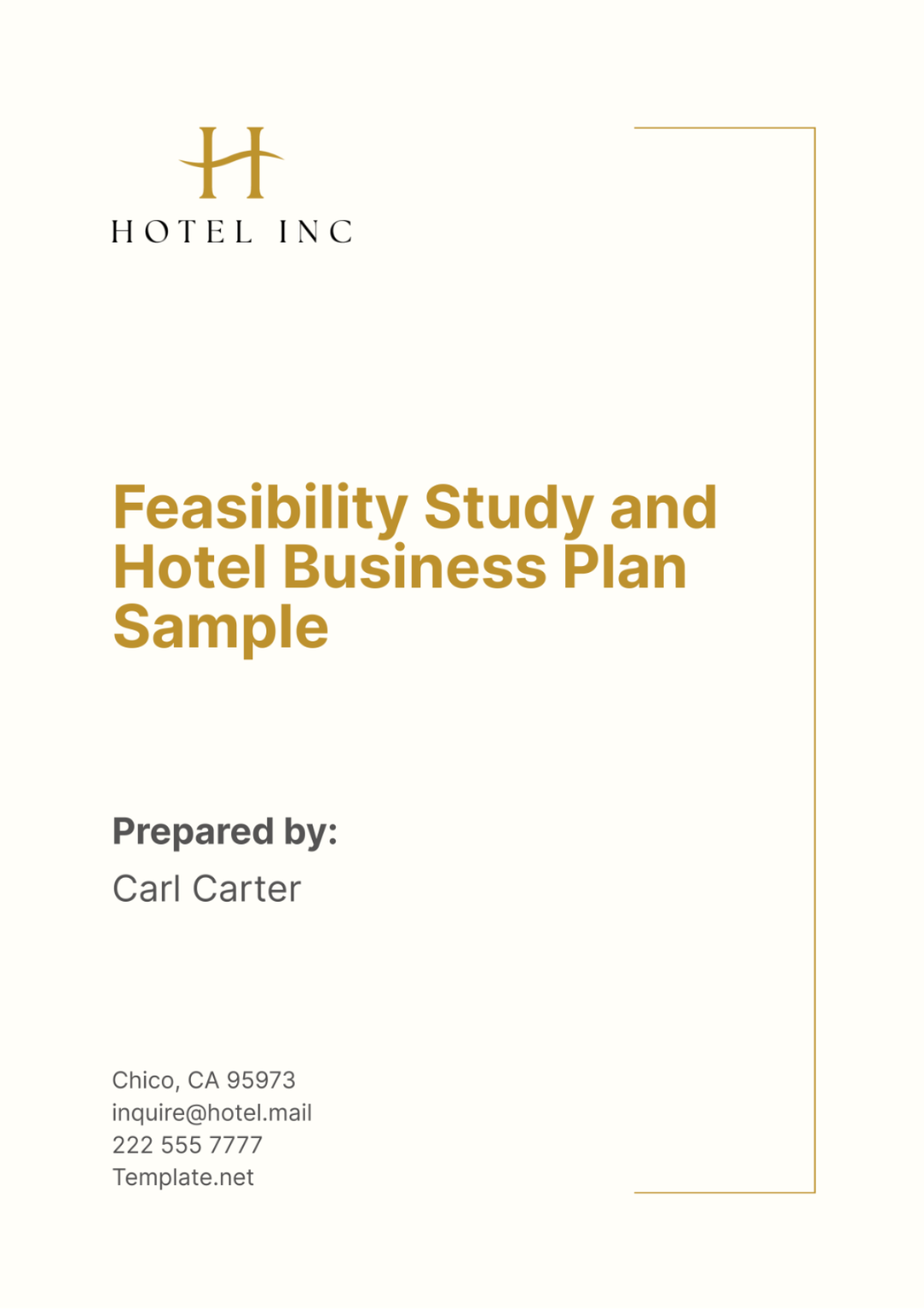 Feasibility Study and Hotel Business Plan Sample Template - Edit Online & Download