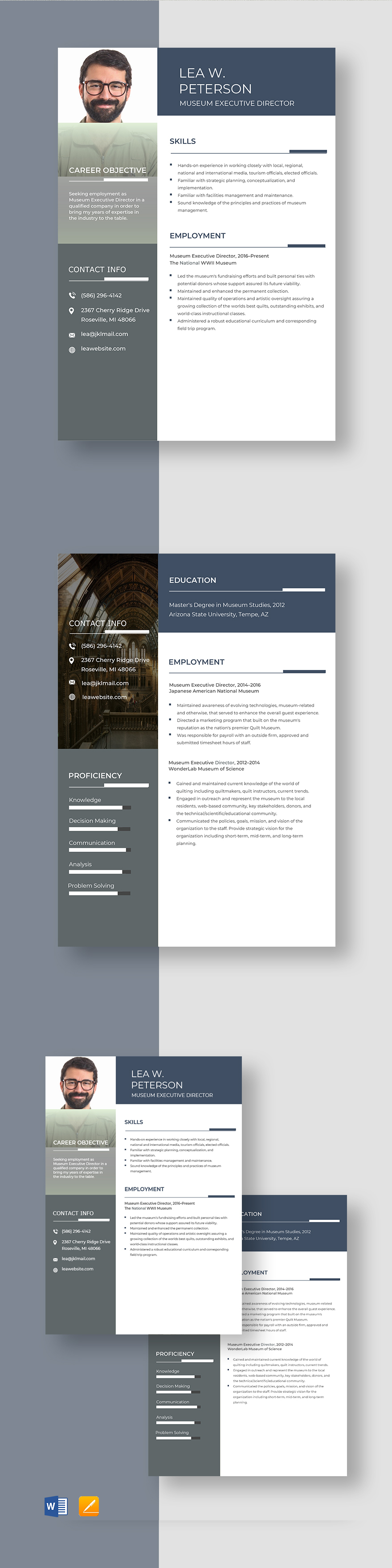 art-museum-curator-resume-template-word-apple-pages-template