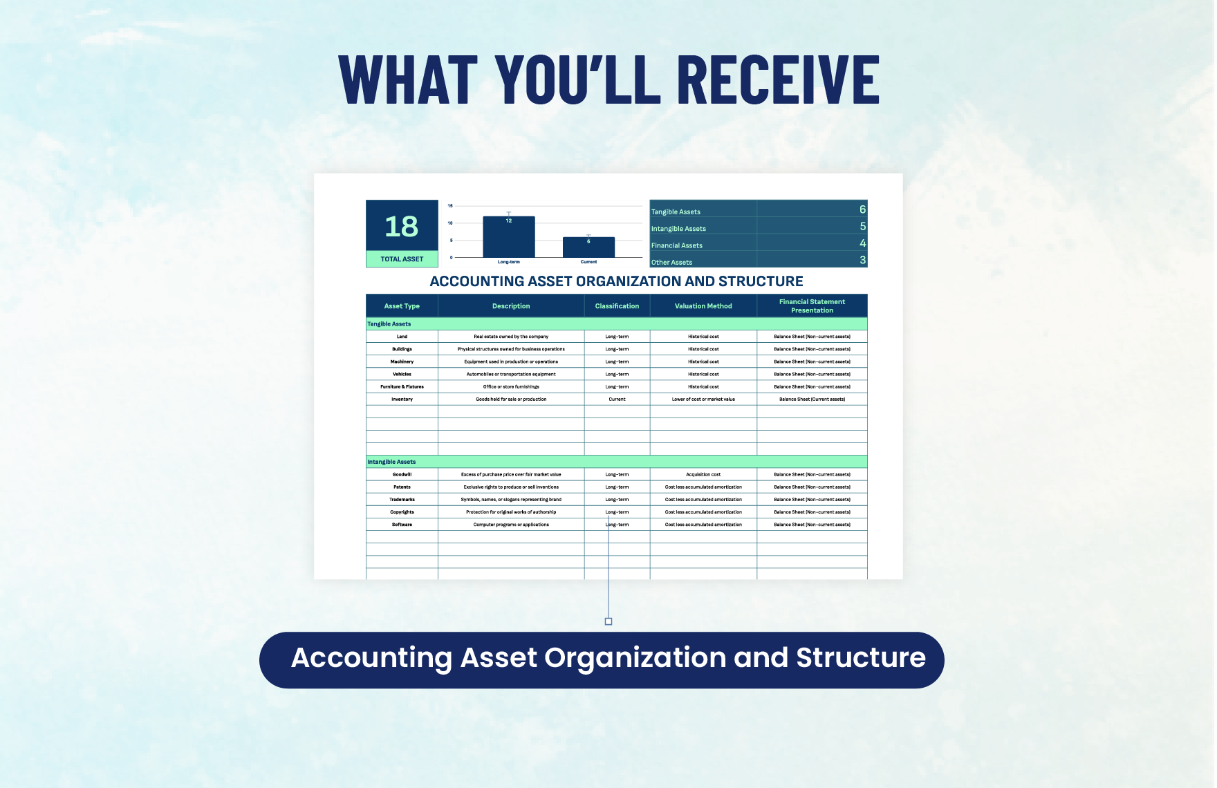 Accounting Asset Organization and Structure Template