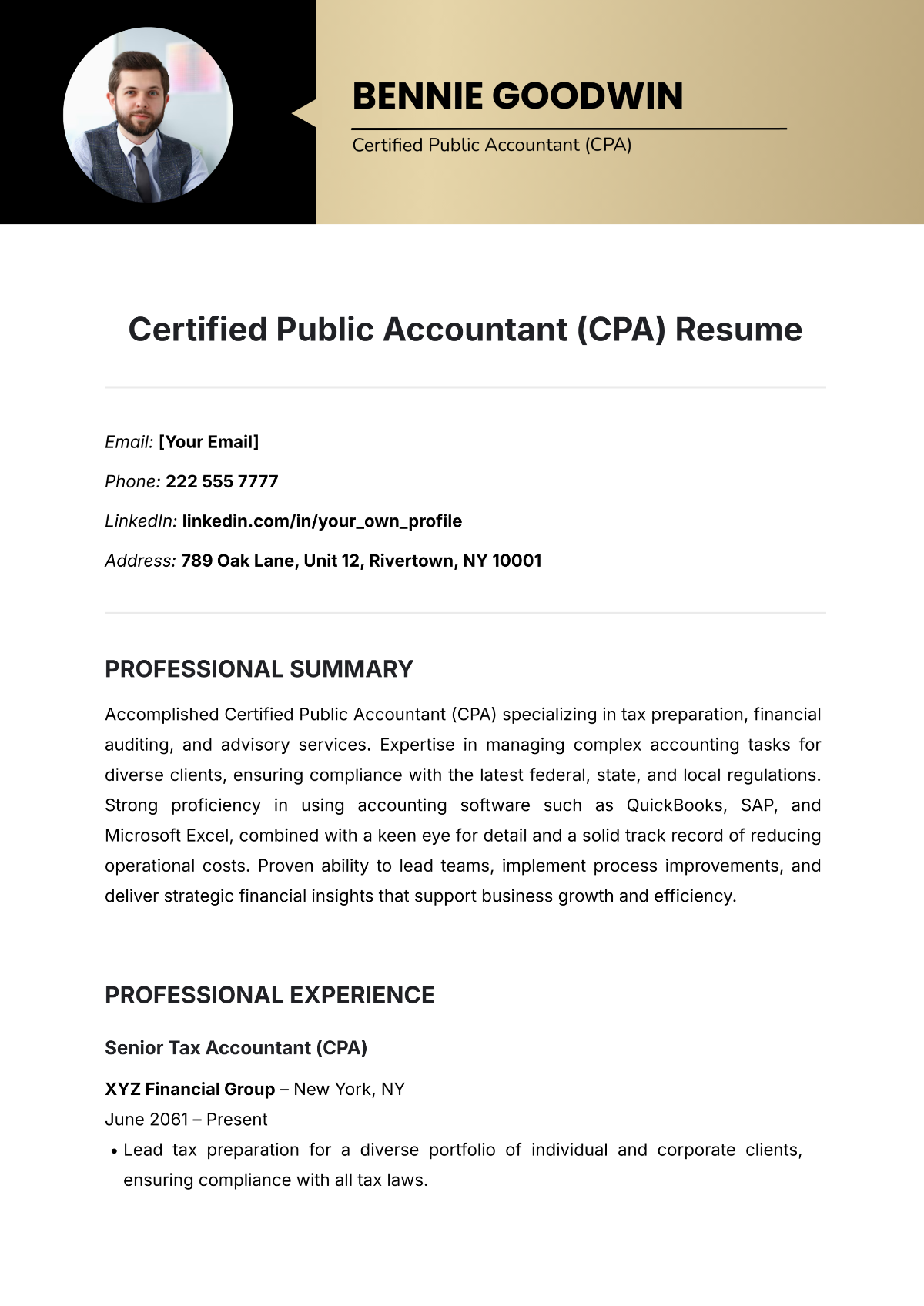 Certified Public Accountant Resume Template - Edit Online & Download