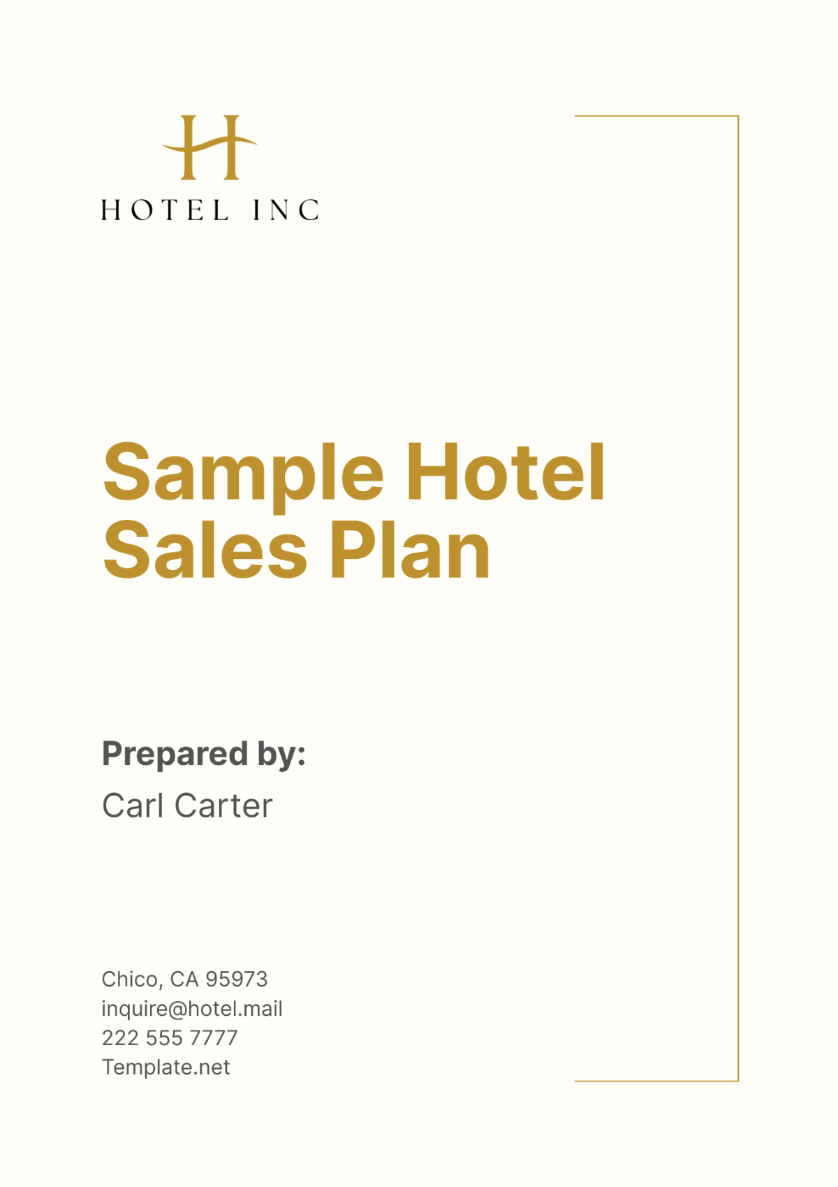 Sample Hotel Sales Plan Template - Edit Online & Download