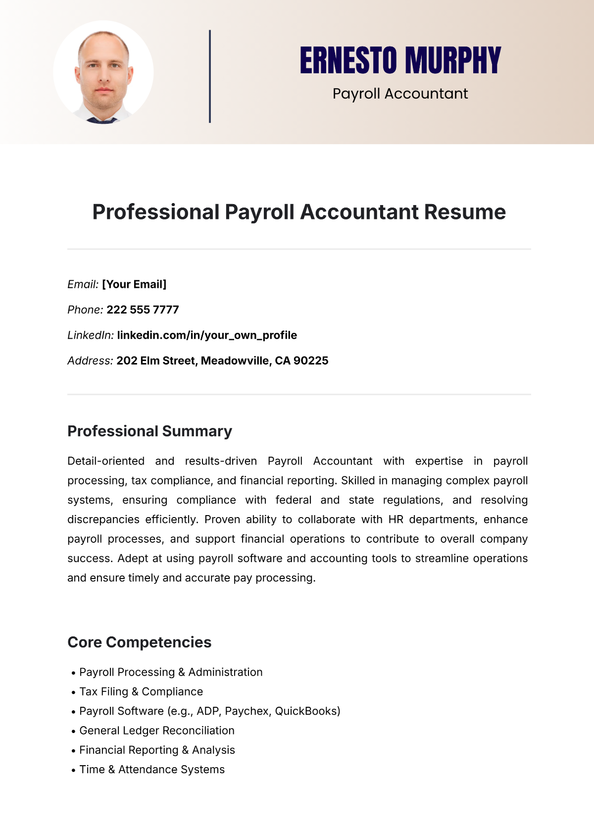 Professional Payroll Accountant Resume Template - Edit Online & Download