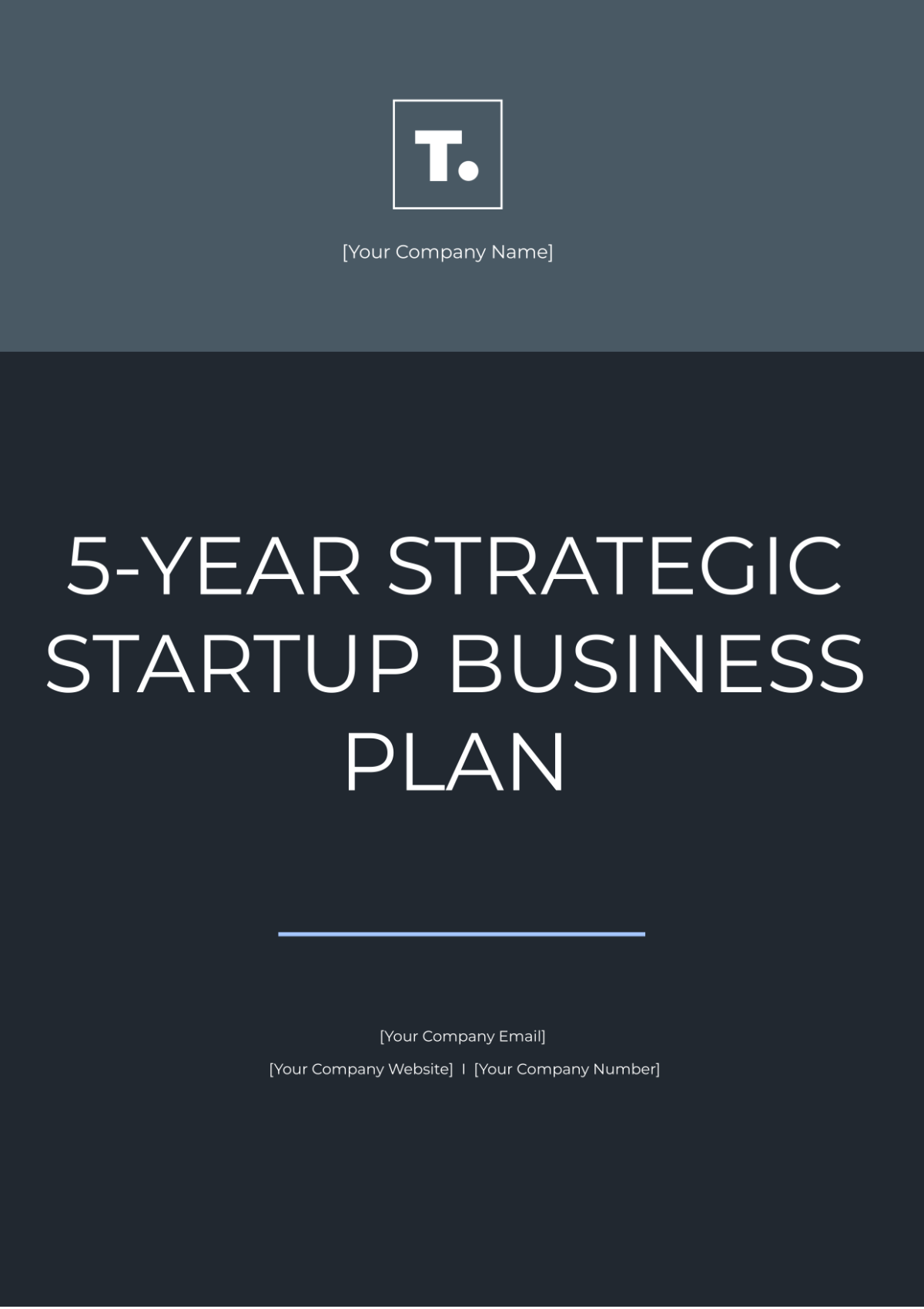 5 Year Strategic Start Up Business Plan Template - Edit Online & Download