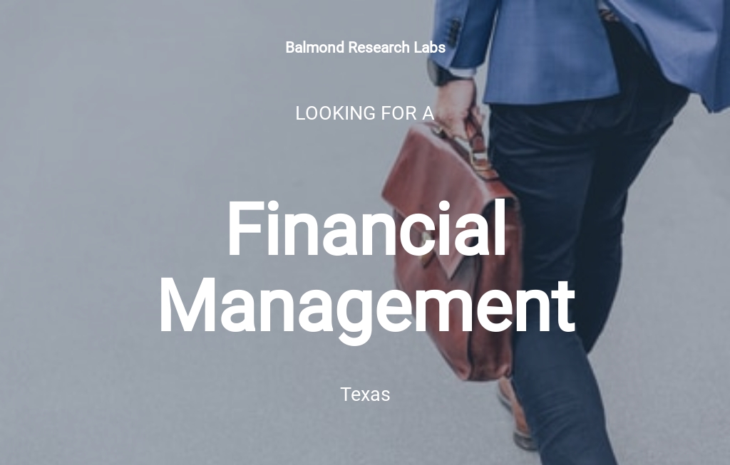 Financial Management Job Ad Description Template Free PDF Google 